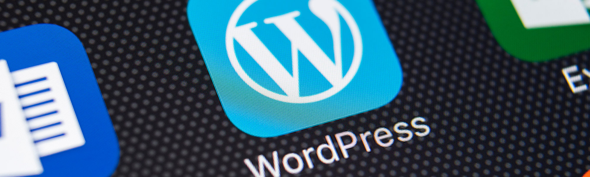 Wordpress app icon
